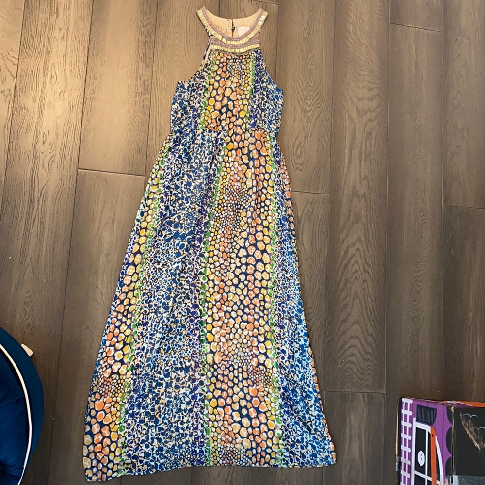 HD in Paris Maxi Dress
